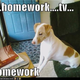 Illustration for article titled Homework Entertainment